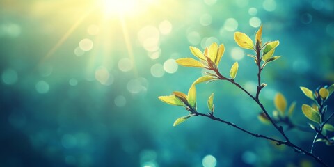 Obraz premium Springtime Awakening Fresh Green Leaves Unfurling on a Branch, Bathed in Golden Sunlight