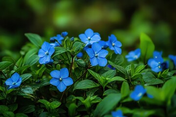 Bright Blue Petals Emerge From Lush Green Foliage in a Vibrant Natural Setting, Capturing the Essence of Spring's Beauty and Renewal