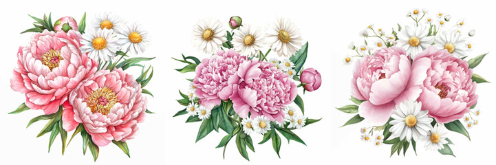Watercolor bouquet set of pink peony and white chamomile. Romantic watercolor bouquets for spring designs, rustic designs etc. Watercolor bouquet of flowers on white isolated background.