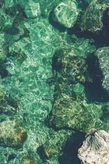 Fototapeta premium The ocean's gentle waves and breeze during summer tide are set against an abstract olive green sea nature background