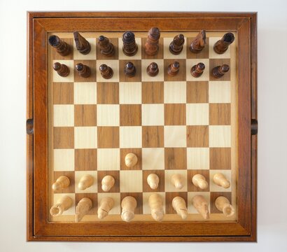 The Mieses Opening, also known as the Pircs Opening, is a chess opening defined by the move: 1. d3
