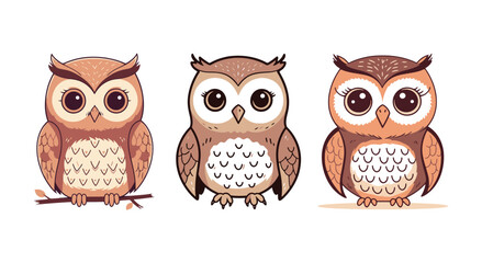 Fototapeta premium Cute Owl Character Vector Illustration