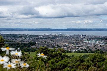 View of Edinburgh from Arthur's Seat with daisies