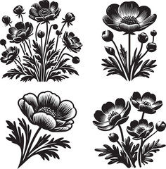Vintage Floral Silhouette Illustrations of Buttercup Flowers