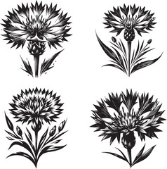 Vector Silhouette of Stylized Flowers - Black and White Floral Illustrations