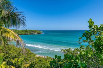 Fototapeta premium palm-fringed tropical lagoon with gently lapping turquoise waves, lush greenery, and a cloudless azure sky