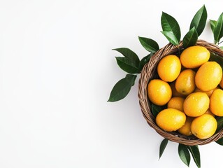 With Multiple fruits in Garden