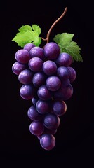 Fototapeta premium With Natural foods in Garden