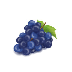 grape