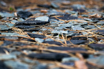 macro 011