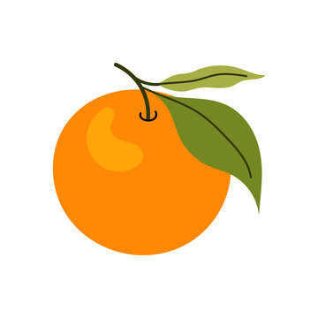 orange fruit with green leaves clip art preview