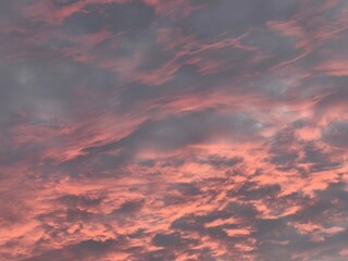sweet sky