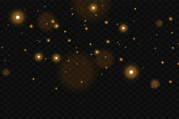 Golden sparks of dust and stars, the glitter of light and flash.