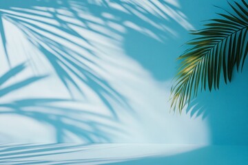 Tropical Palm Leaf Shadow on Blue Wall with Product Display Space