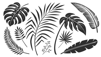 Tropical Leaf Silhouette Collection – Exotic Palm, Monstera, and Jungle Foliage Illustrations for Nature and Botanical Designs
