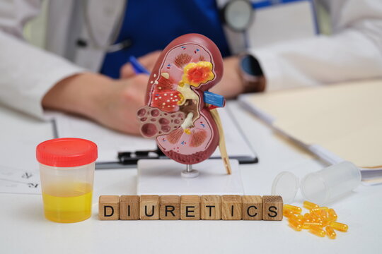 Dive into the crucial role that diuretics play in maintaining kidney health with this detailed and informative image