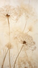 Flower backgrounds dandelion plant.