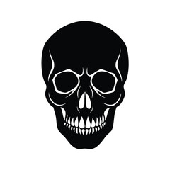 human skull vector illustration