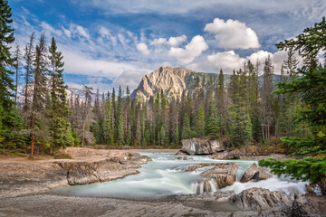 Natural Bridge in Yoho National Park, Canada. A stunning rock formation carved by the Kicking Horse River, surrounded by lush forest and majestic mountains. A breathtaking natural wonder.