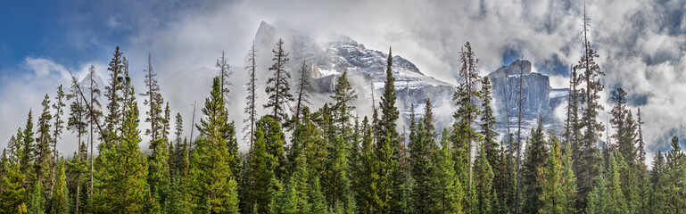 Misty mountain peaks rise above a dense evergreen forest in the Canadian Rockies. The fog creates a mystical atmosphere, blending rugged cliffs with lush greenery under a bright blue sky.