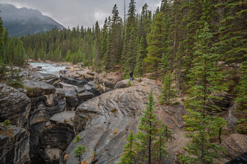Obraz premium Mistaya Canyon in Banff National Park, Canada. A stunning river gorge with smooth rock formations, surrounded by dense evergreen forest and mountains. A popular spot for hiking and nature photography.