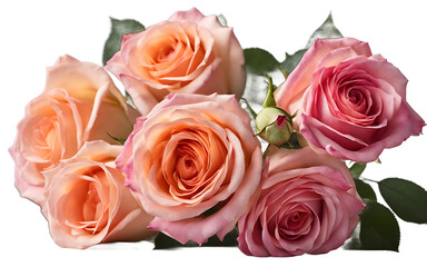 Obraz premium A bouquet of fragrant roses in full bloom, isolated on a empty plain background