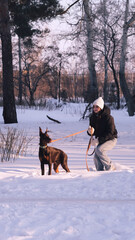The puppy pulls on the leash. raising a dog outdoors