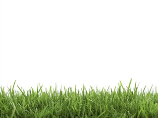 Fototapeta premium Vibrant urban photo of green grass on a white background with copy space for text in lively cityscape