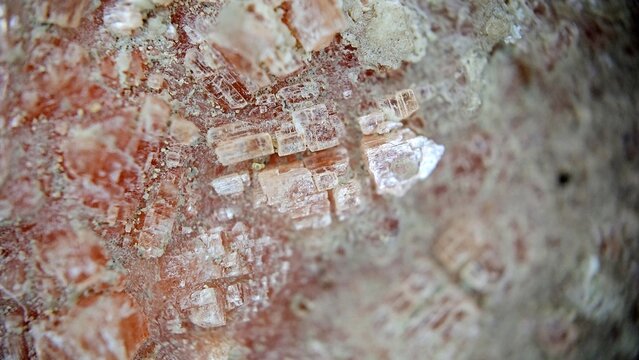 Macrophotography of red anhydrite crystals 1