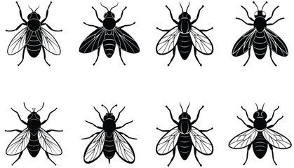 Fly vector shilhouette bundle Set Icon .