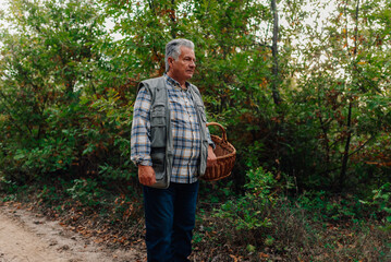 Senior man walking in forest holding wicker basket foraging mushrooms