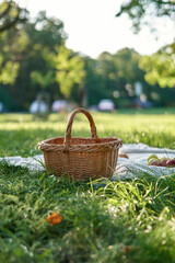wicker picnic basket on green grass