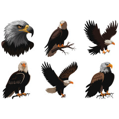 Fototapeta premium Majestic Eagles Collection