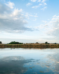 Sunset sky reflects in a river. Trees and cattail plants on the other bank in the background reflect in the water as well.