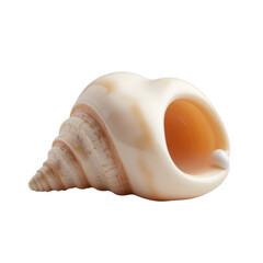 Polished Seashell Displaying Spiraled Design and Open Aperture