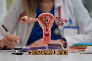 An innovative educational model that effectively showcases uterine prolapse within a medical training setting