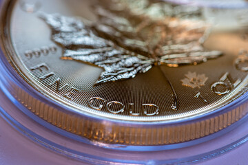 Close-up macro shot of fine gold coin, gold prices and trading concepts.