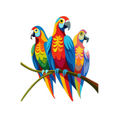 two parrots on a branch  a isolated transparent background 