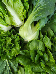 A vibrant assortment of fresh leafy greens arranged aesthetically.