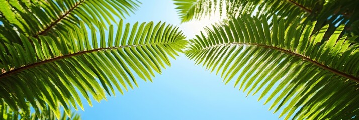 Fototapeta premium Tropical Paradise Lush Palm Fronds Frame a Vibrant Blue Sky, Creating a Serene Summer Background.