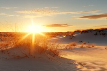 Beautiful evening light illuminates desert dunes, creating intricate patterns, inviting introspection and admiration for the natural wonders of our world.