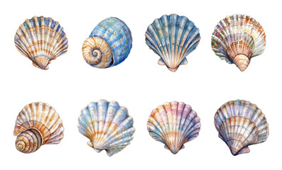 Watercolor set of sea shells. Marine and ocean shells. Sea and ocean elements. Mollusk shell concept. Watercolor sea and beach elements. Vector illustration.