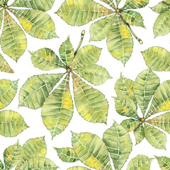 Seamless pattern of elements with chestnut, greenery, twigs, leaves and fruits. Hand drawn watercolor illustration isolated on white background
