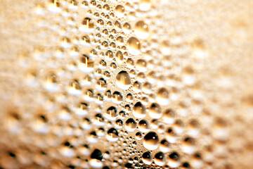 Gold Bubbles Close Up Background champagne Beer