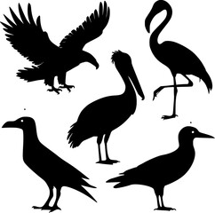 Silhouette Collection of Birds of Prey and Waterfowl