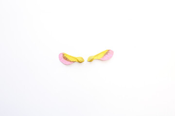 step in creative project, Two samara seeds or maple seeds or helicopter seeds, placed on white...