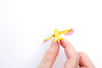 creative craft process transforming maple seeds into a bird-like figure. Handmade art project using dried seeds and clay for creative design, DIY inspiration, and eco-friendly crafting concept