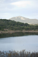 lake and mountains Baratz lake and pinewood, Alghero Sassari, Sardinia, Italy