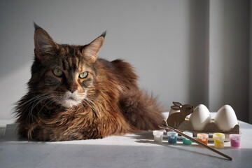 Family easter prepartion with cat. DIY paint, eggs, bunny during sunny day. holidays mood