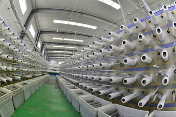 Modern packaging production line workshop equipment